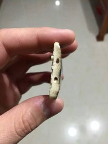 珠海斗門猛犸象牙工藝品 珠寶首飾與自然藝術的完美融合